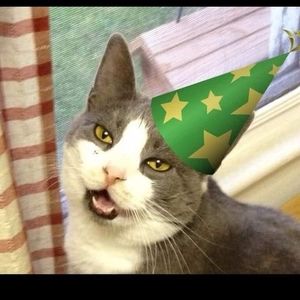 Meet your Posher, Liz